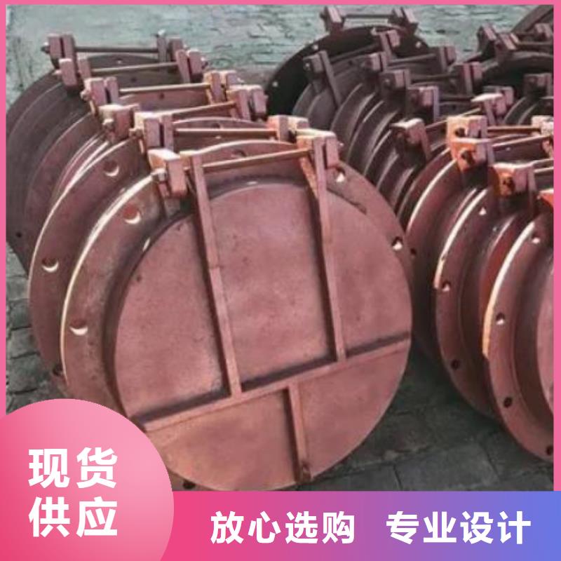 拍门 【钢制拍门】追求细节品质