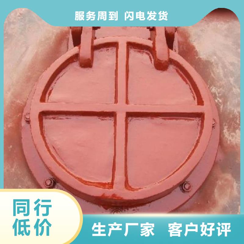 拍门专业生产设备