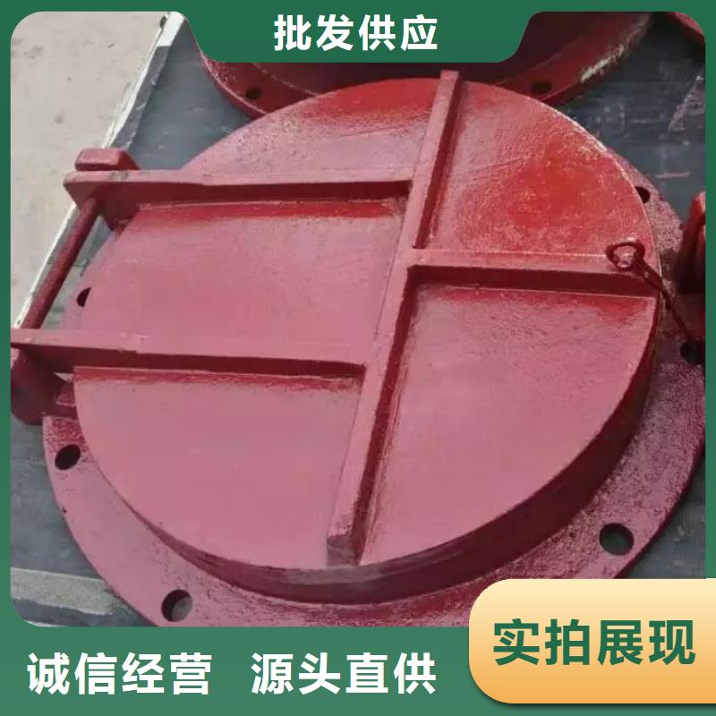 拍门 回转式清污机精益求精