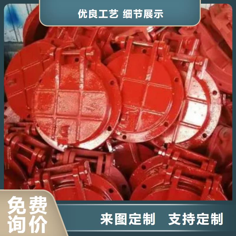拍门 卷扬启闭机售后服务完善