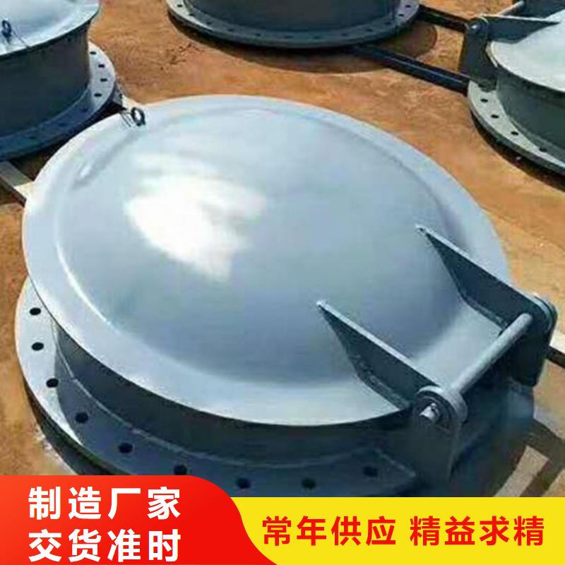 拍门【液压折叠坝】多年行业经验