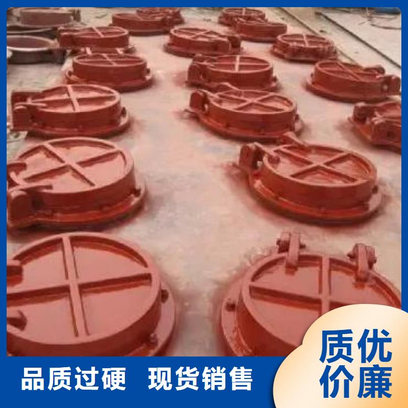 拍门球墨铸铁闸门定制销售售后为一体
