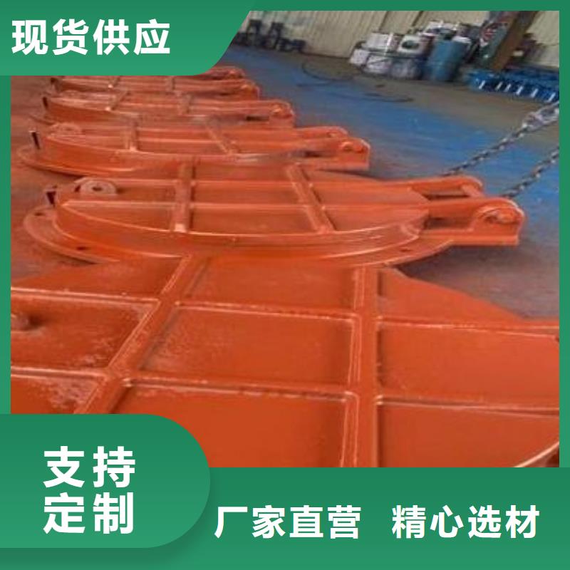 拍门 扇形闸门讲信誉保质量