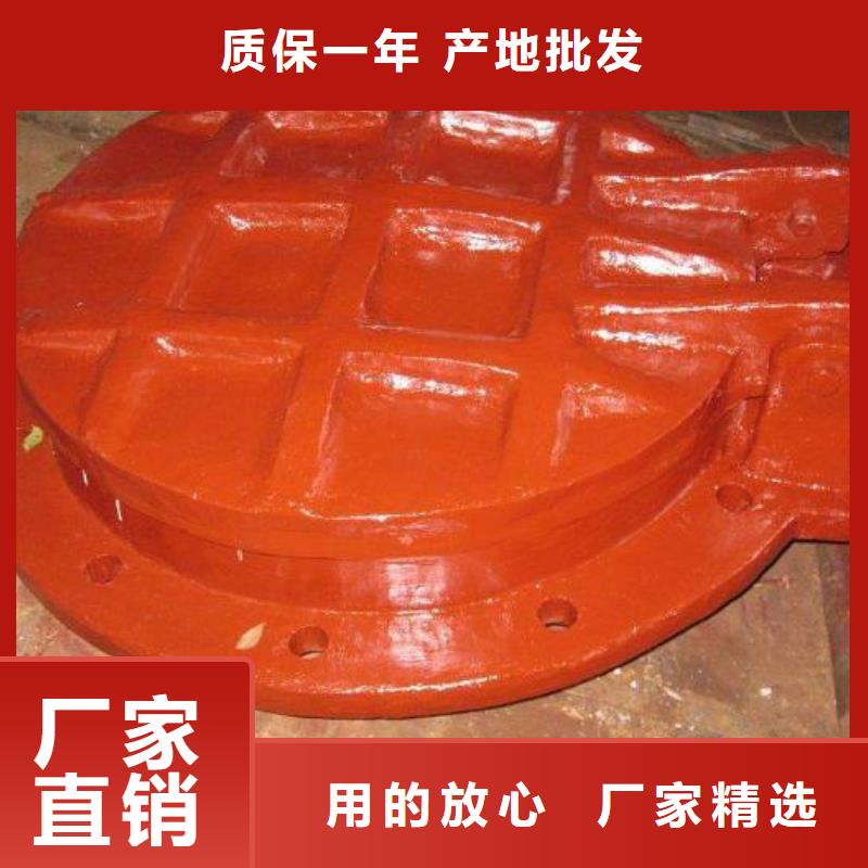 【拍门电动装置启闭机自有厂家】