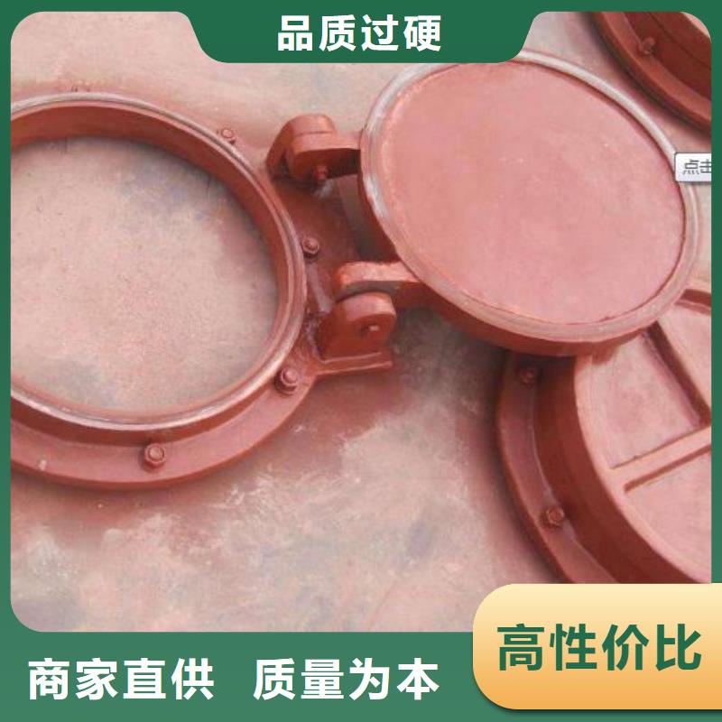 拍门启闭机品质卓越