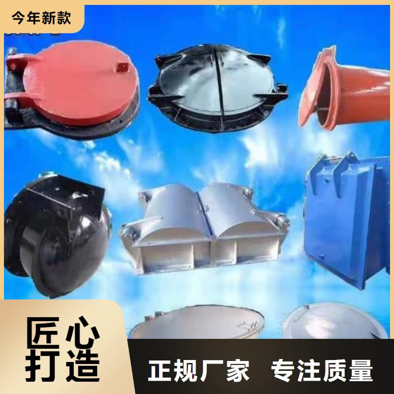 【拍门】铸铁闸门好品质用的放心