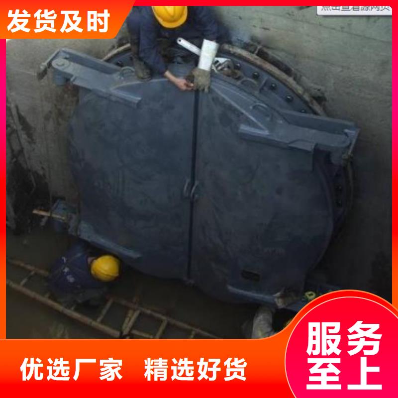 拍门【铸铁闸门】快速发货