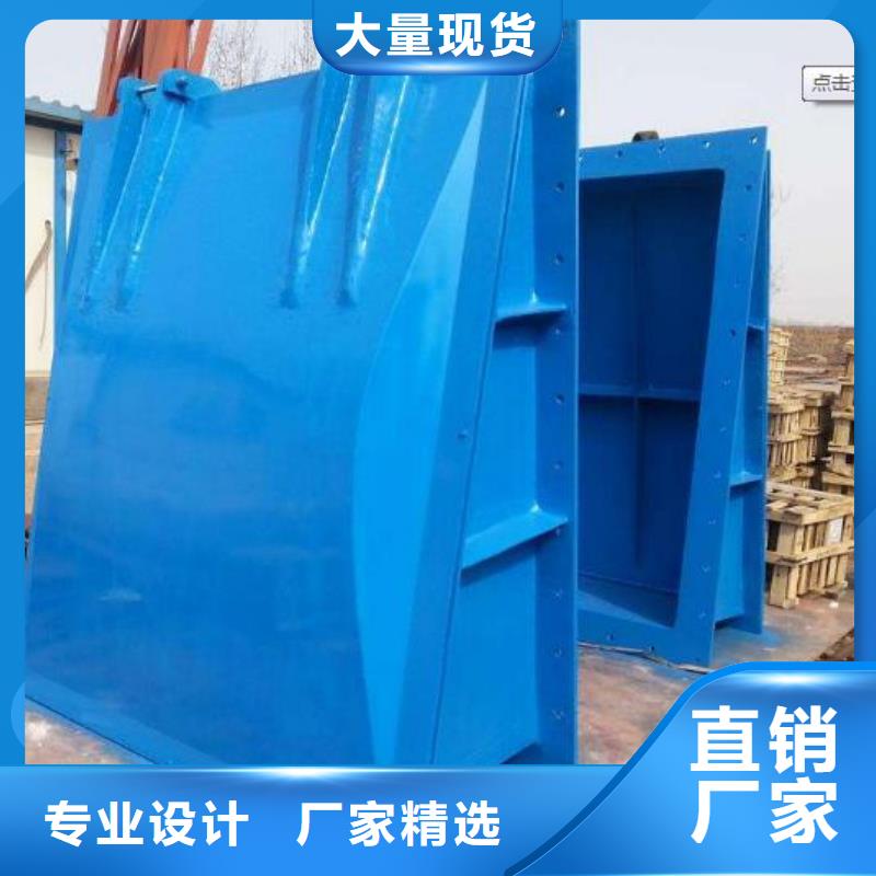 拍门拦污栅为您提供一站式采购服务