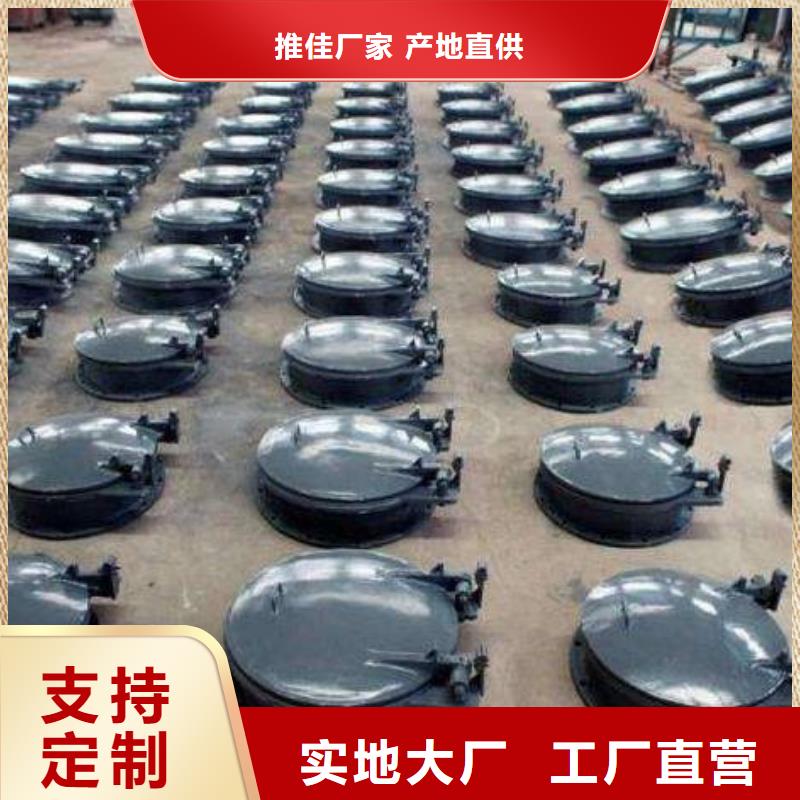 拍门 启闭机随心所欲定制
