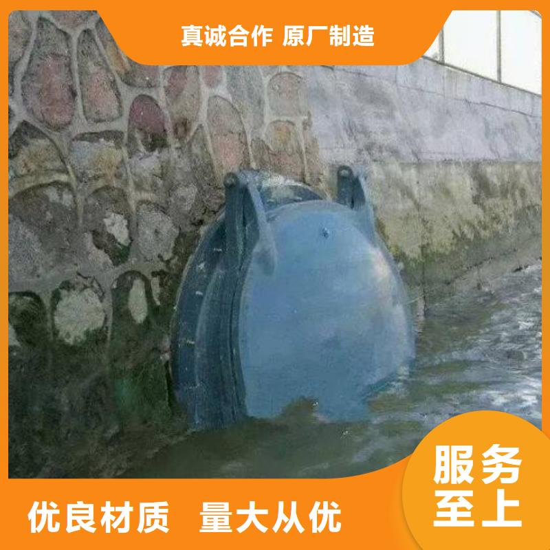 拍门 钢坝用心做产品