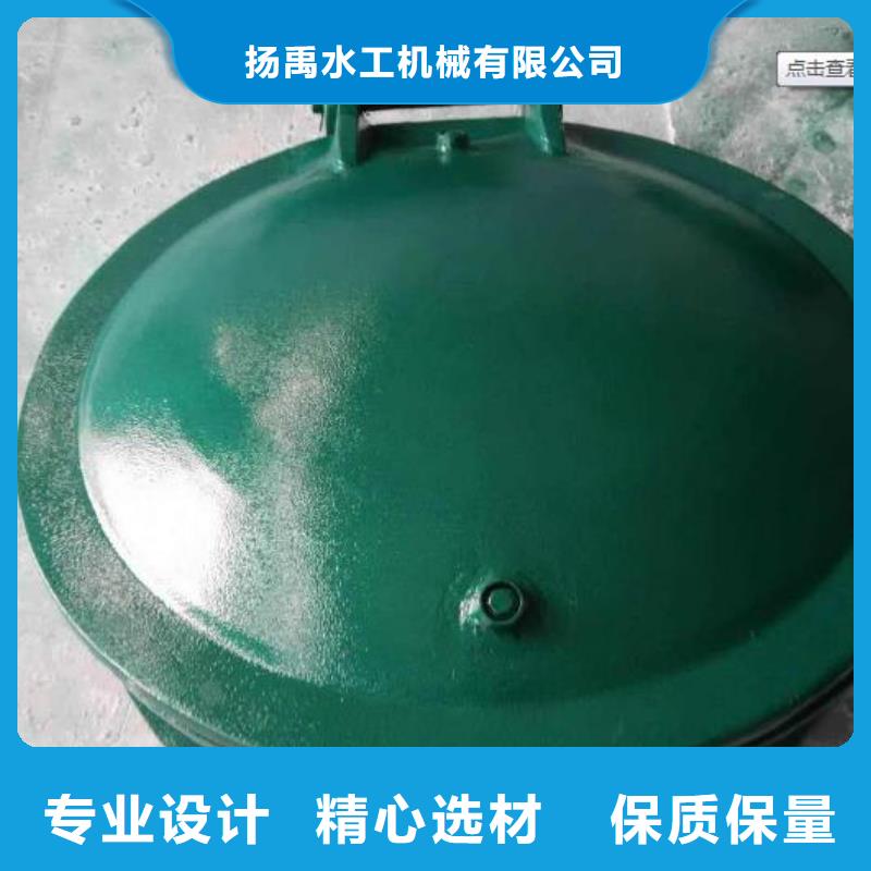 拍门拦污栅自主研发