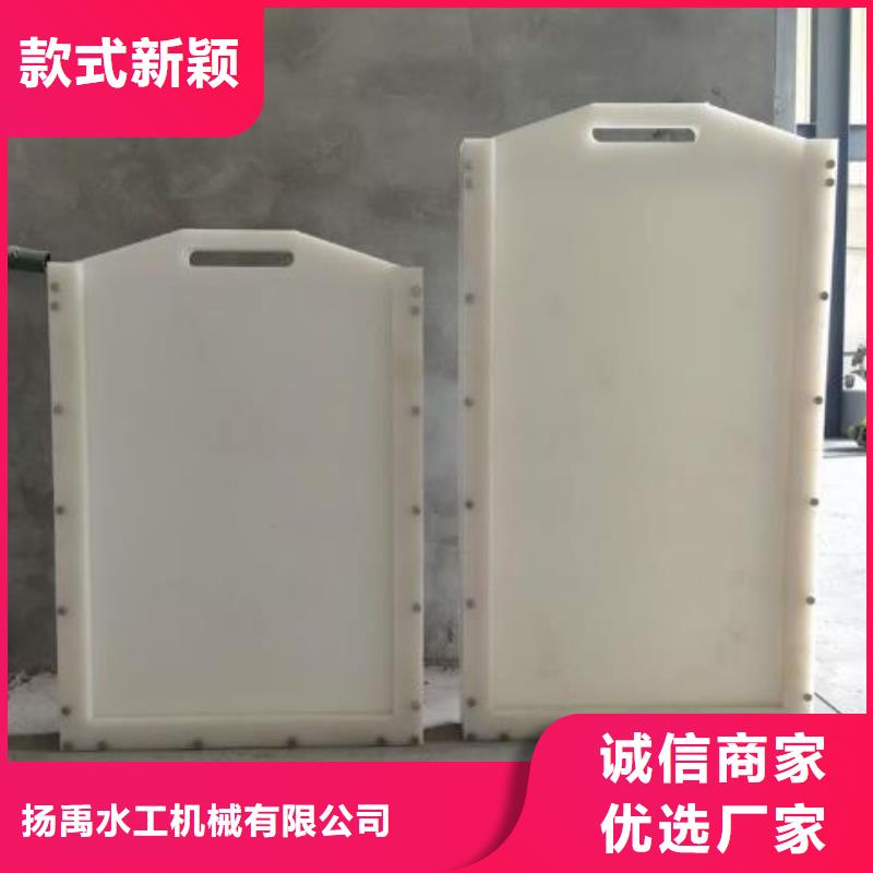 塑料闸门泵站清污机以质量求生存