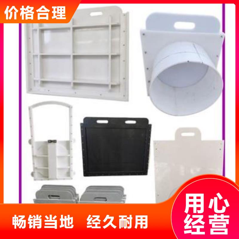 【塑料闸门 铸铁闸门种类齐全】
