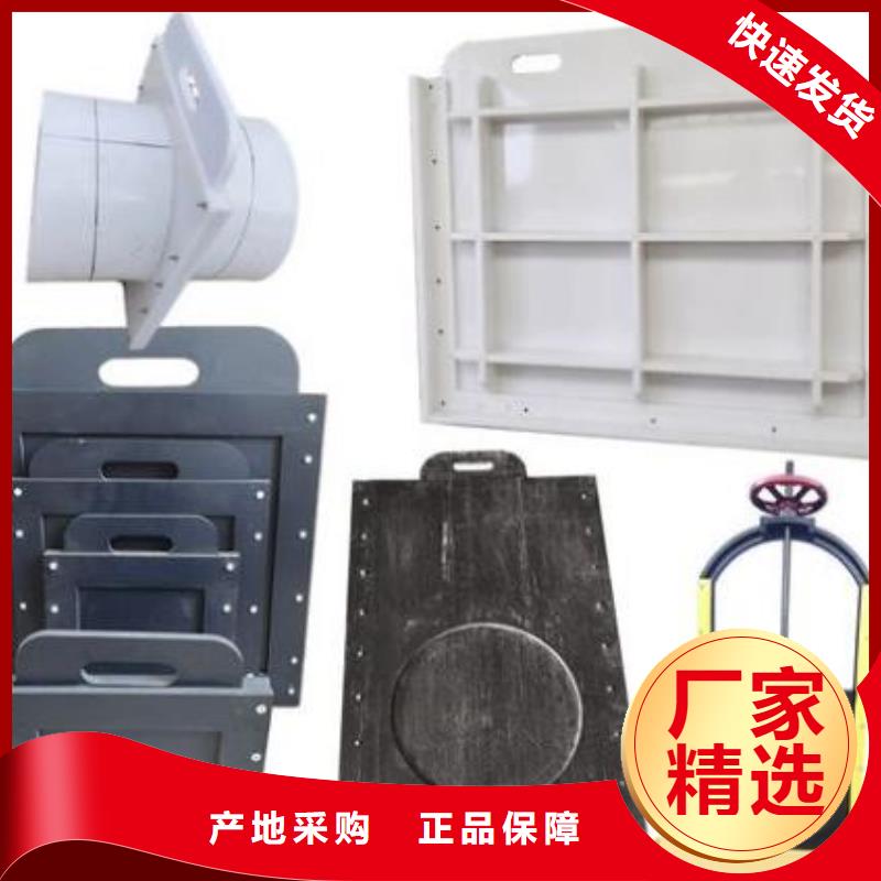 塑料闸门钢制拍门厂家质检合格发货