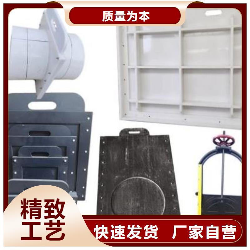 塑料闸门,钢制拍门好货直供