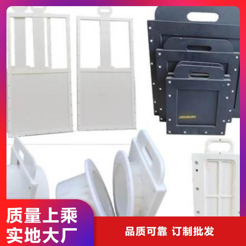 塑料闸门景观钢闸门支持货到付清
