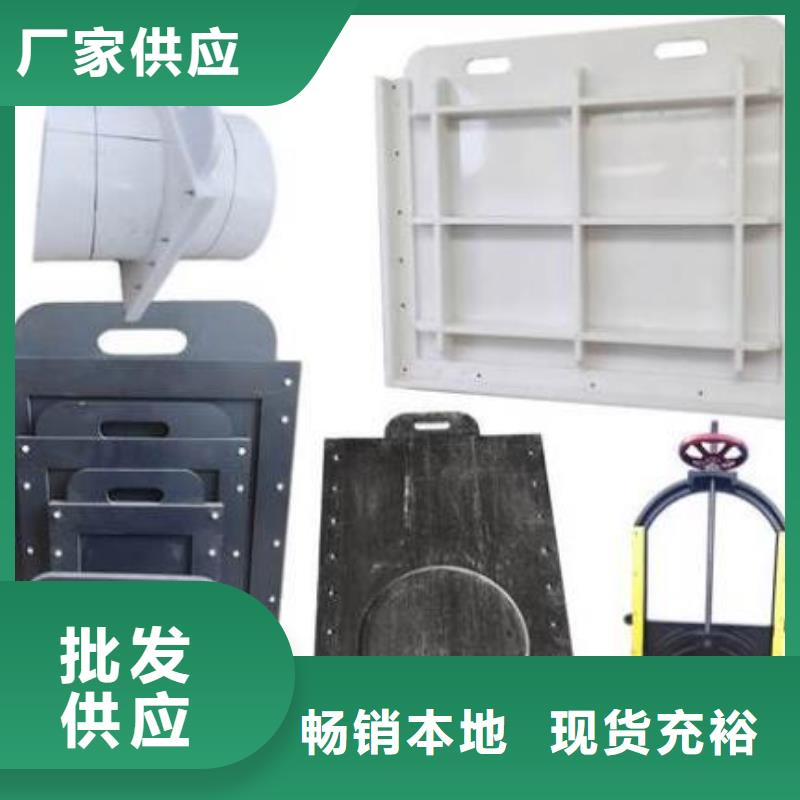 塑料闸门球墨铸铁闸门欢迎来电询价