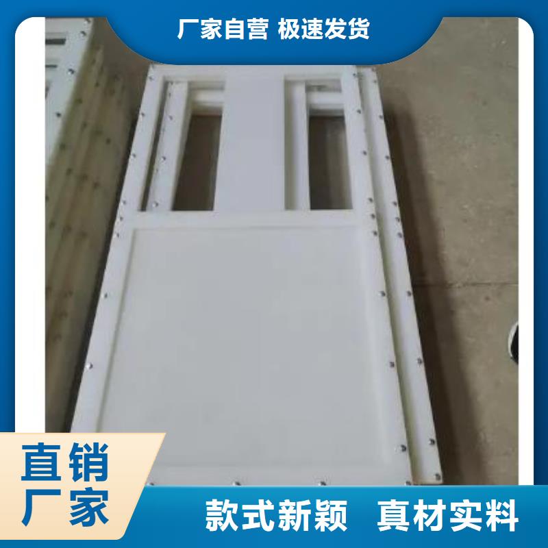 塑料闸门铸铁闸门按需定制真材实料