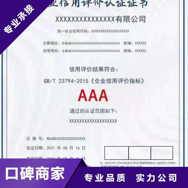 ISO认证-AAA级信用企业实力团队