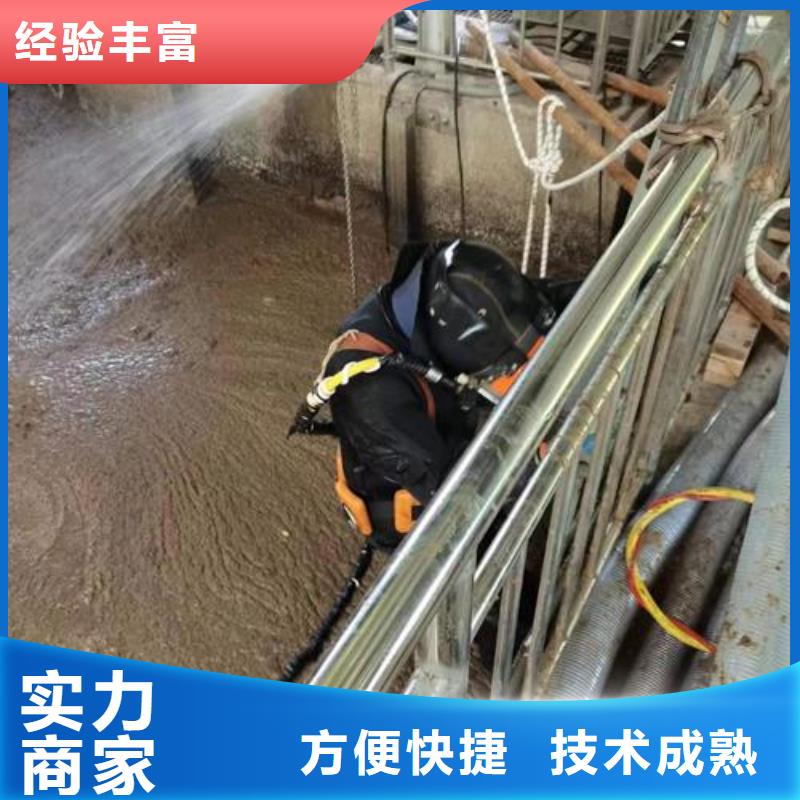 潜水员服务公司-本地水下施工队