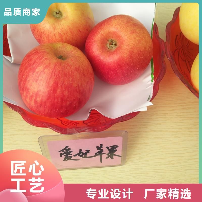 苹果,苹果苗生产厂家