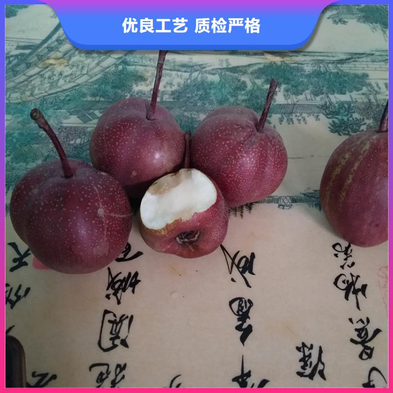 梨树嘎啦苹果满足您多种采购需求
