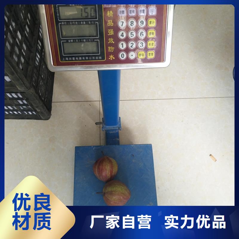 梨树嘎啦苹果满足您多种采购需求
