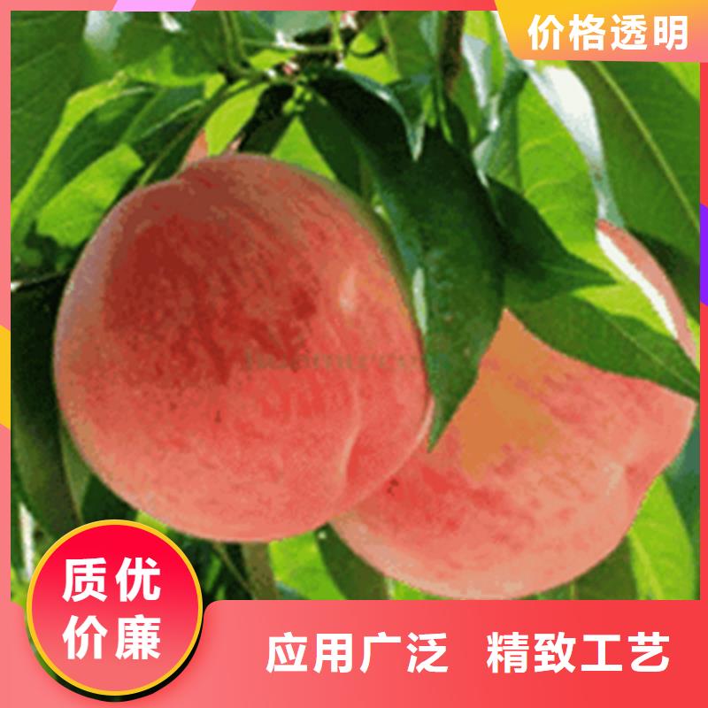 桃-苹果苗自主研发