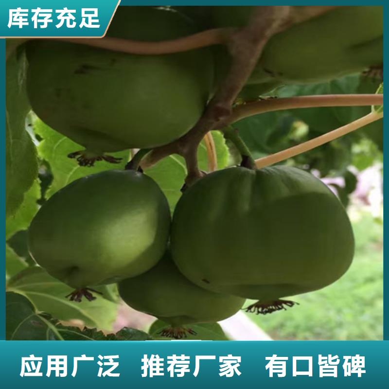 猕猴桃苹果苗好产品好服务