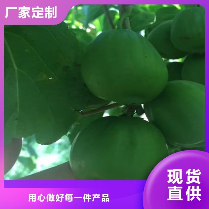 猕猴桃_苹果苗厂家现货供应