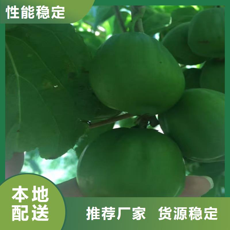 猕猴桃-板栗苗性能稳定