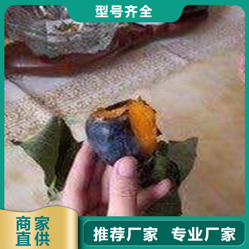 柿子石榴树优良工艺