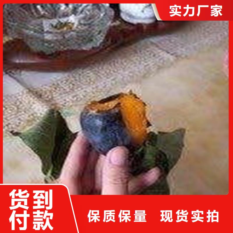 柿子石榴树优良工艺