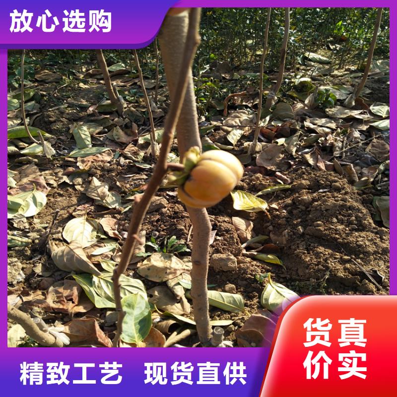 柿子,红颜草莓质量好