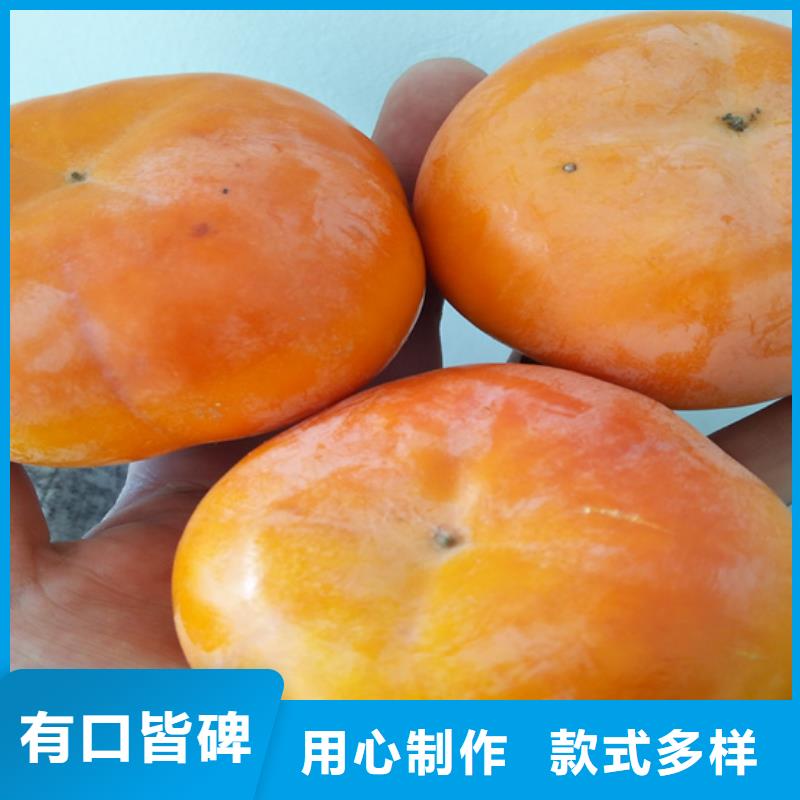 柿子石榴树优良工艺