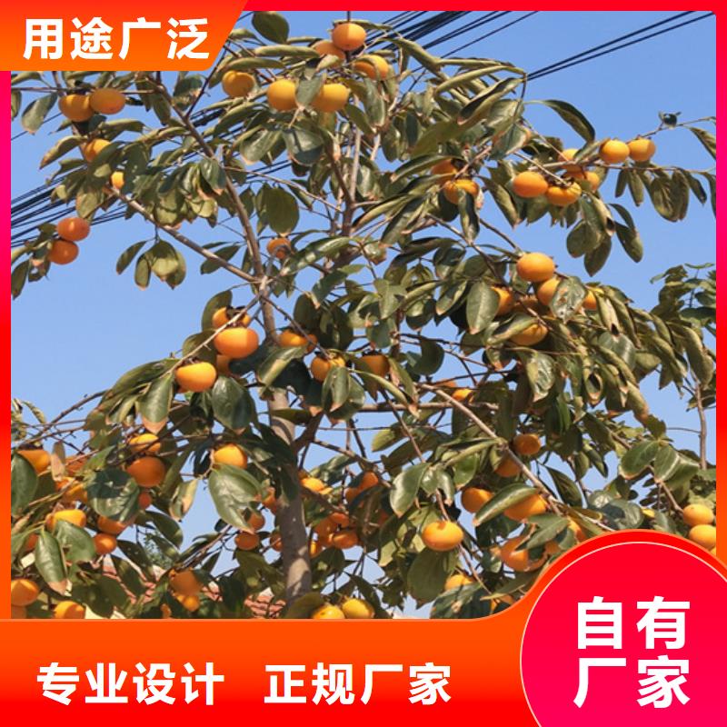 柿子,红颜草莓质量好