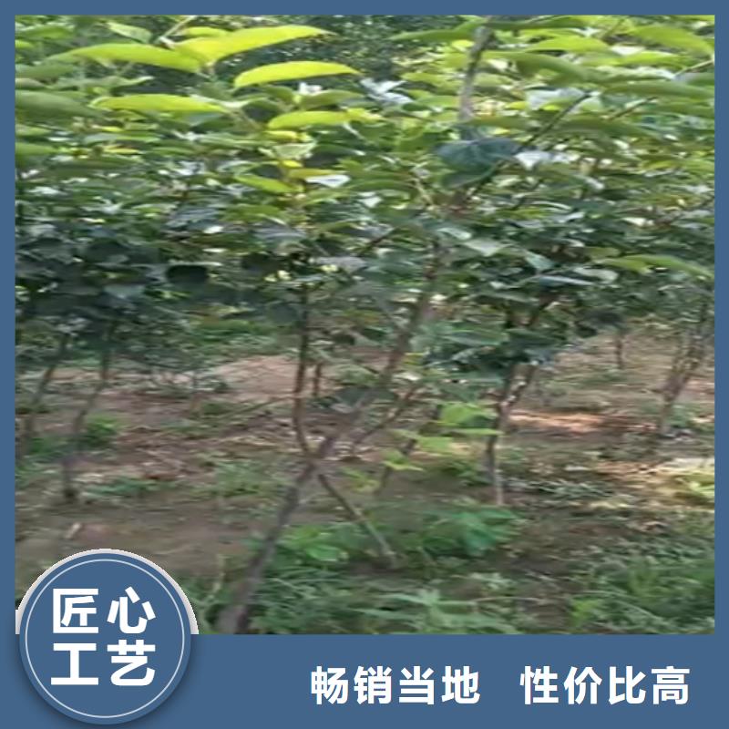 柿子,红颜草莓质量好
