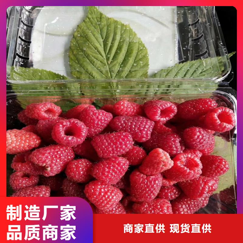 树莓,石榴树保质保量