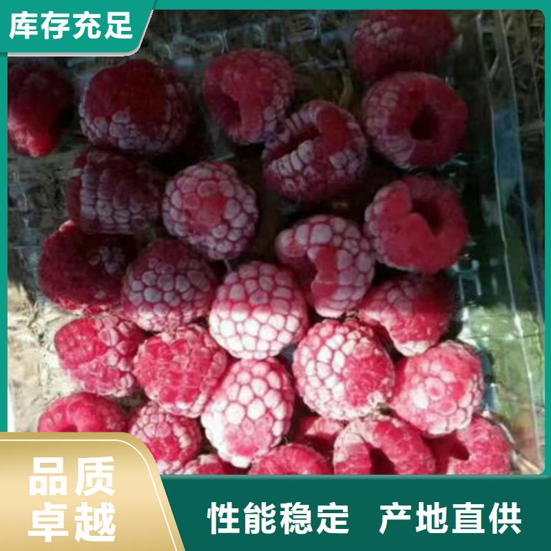 树莓-玛瑙红石榴苗产品参数