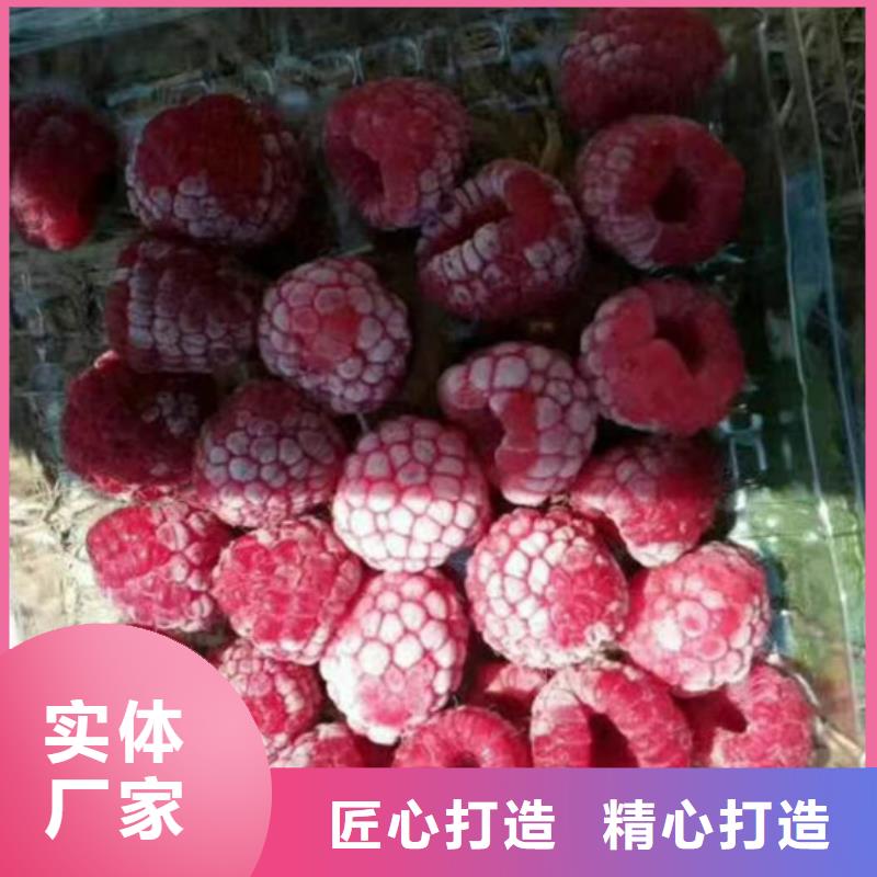 树莓桃树苗一站式服务