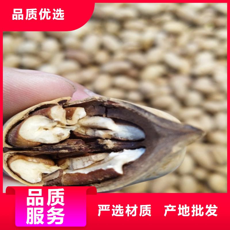 碧根果,桃树苗工厂认证