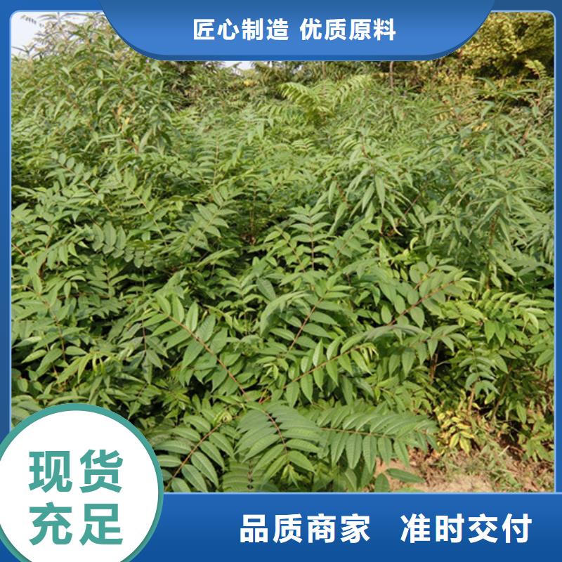 香椿,红颜草莓拒绝差价