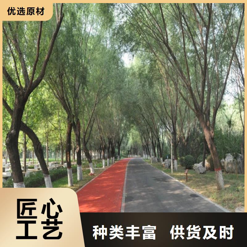 健身步道-PVC室内地坪工厂现货供应