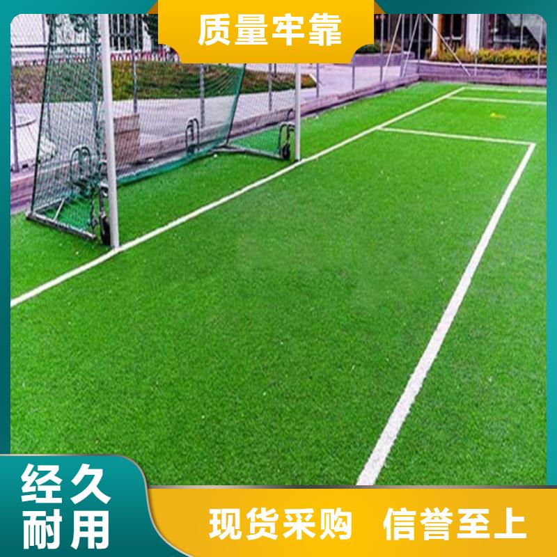 临湘县足球场人造草坪为您服务