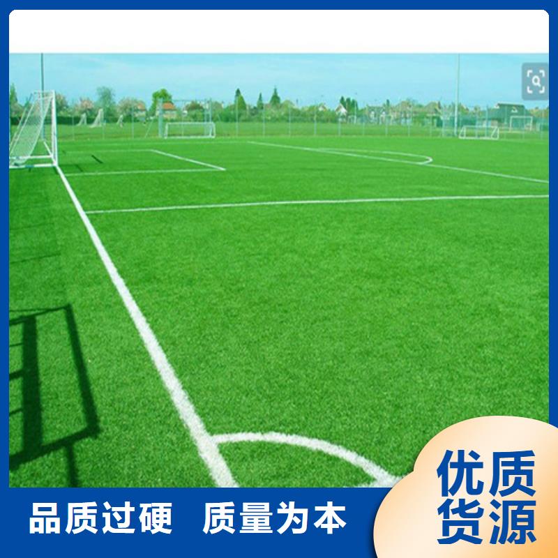 球场人造草坪-球场人造草坪按需定制