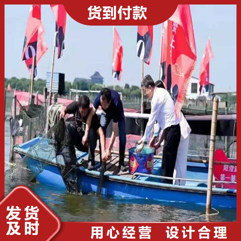 阳澄湖大闸蟹无蟹可击