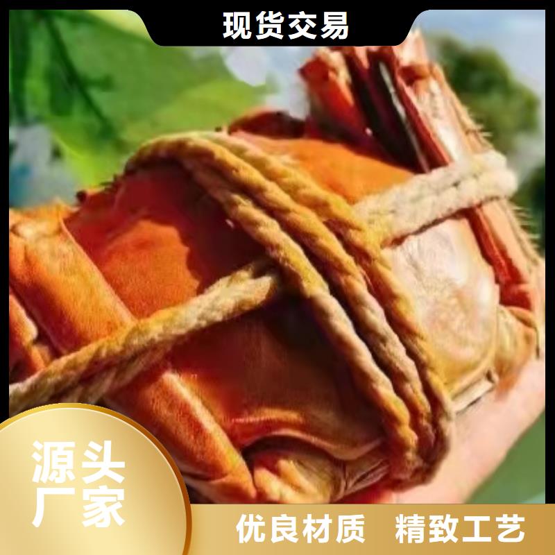 大闸蟹价低同行