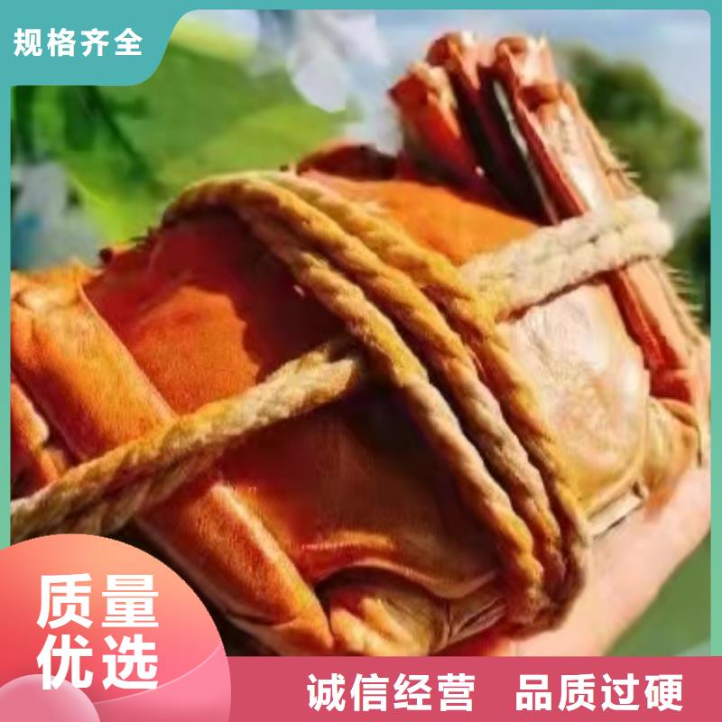 丁青县阳澄湖大闸蟹团购