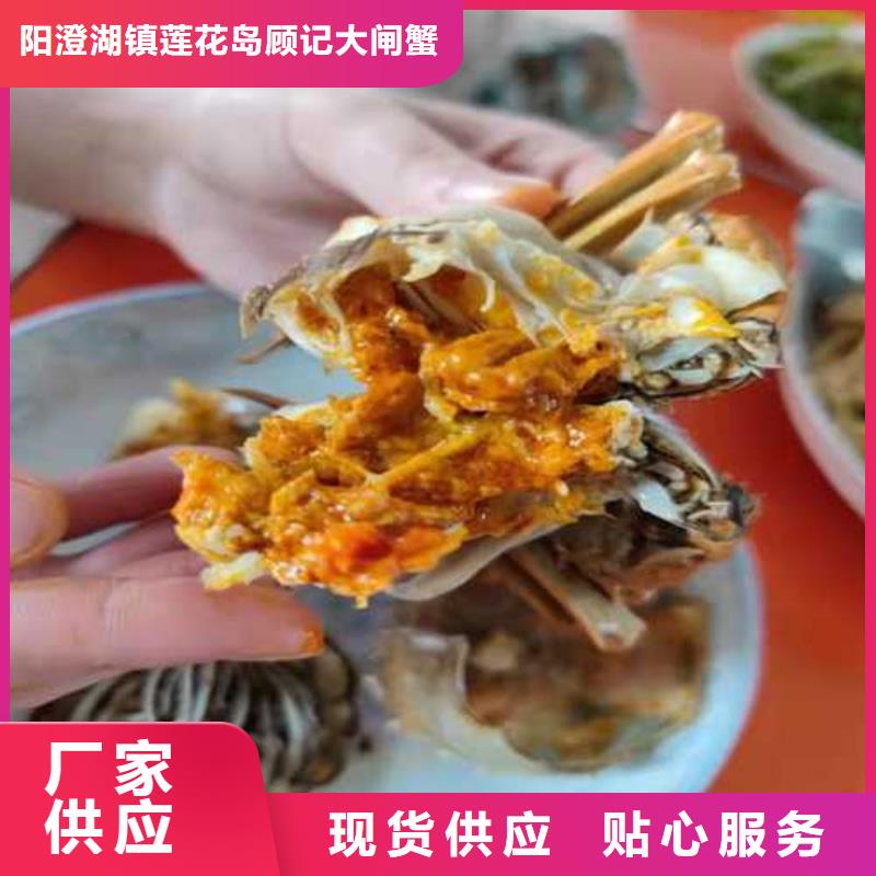 铁东阳澄湖大闸蟹精选美味