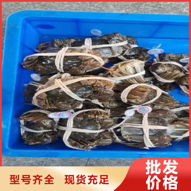 剑河县阳澄湖大闸蟹联系方式